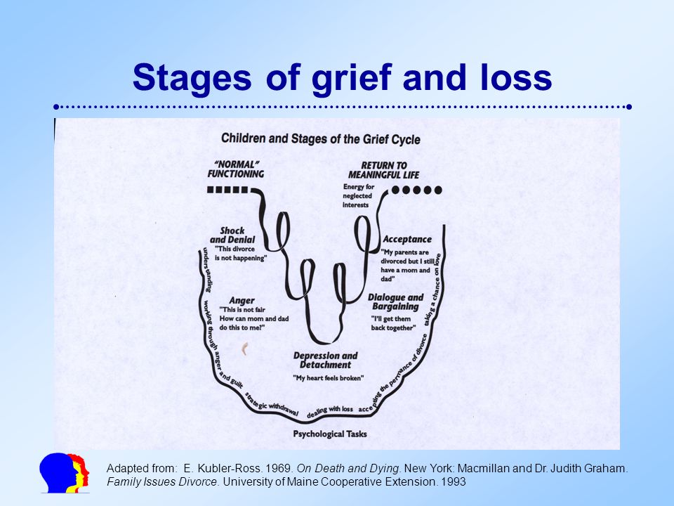 The stages of loss