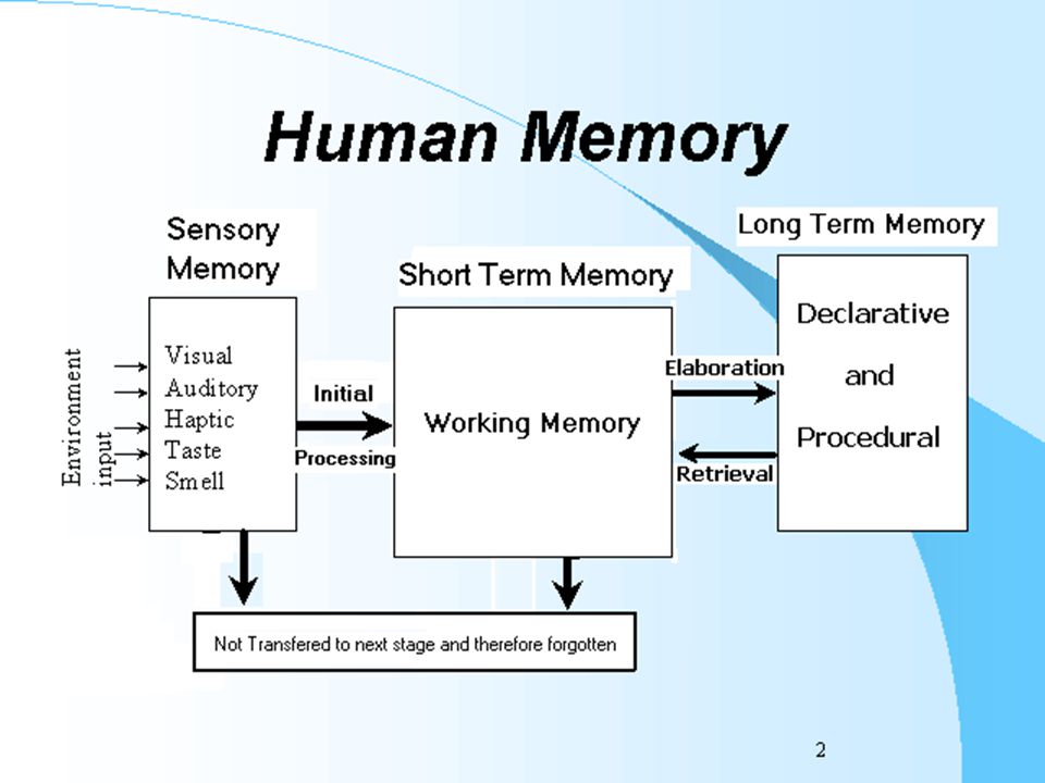 Memory initialized. Human Memory Types. How Human Memory works. How our Memory works. Long Memory..