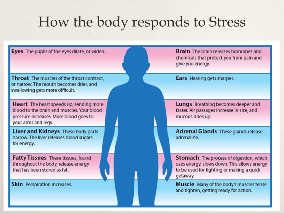 How Your Body Reacts to Stress, Science