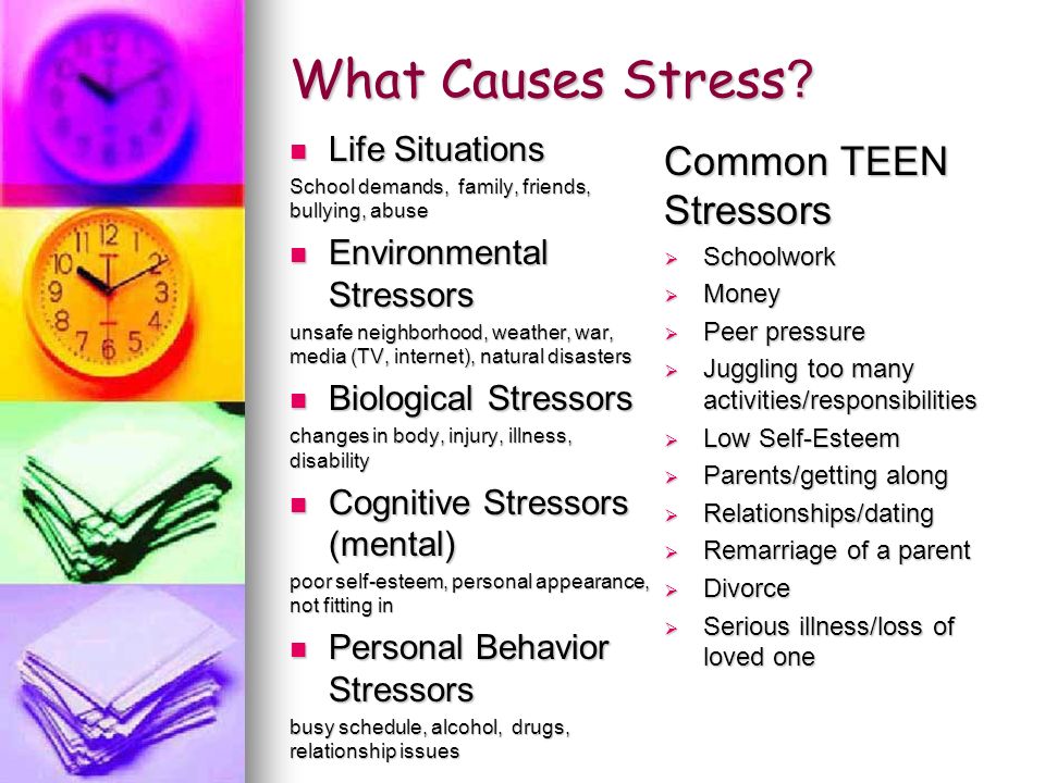 Презентация 7 класс спотлайт stress free