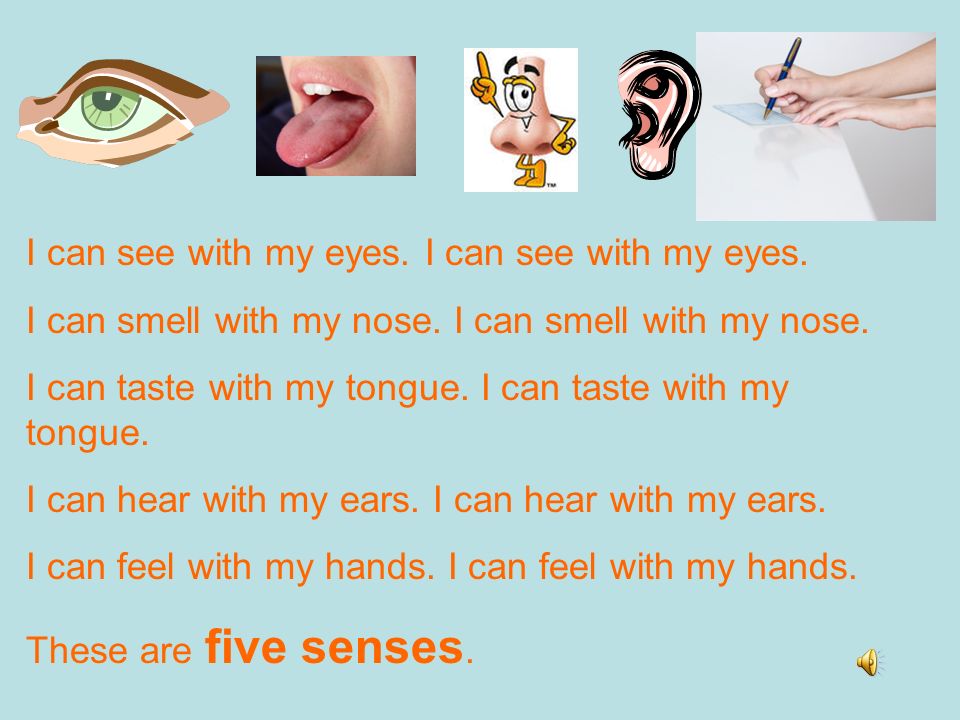 Руки плечи уши нос песня с ускорением. I can see with my Eyes. I can smell. I can see with my Eyes Worksheets. I can smell with my nose.