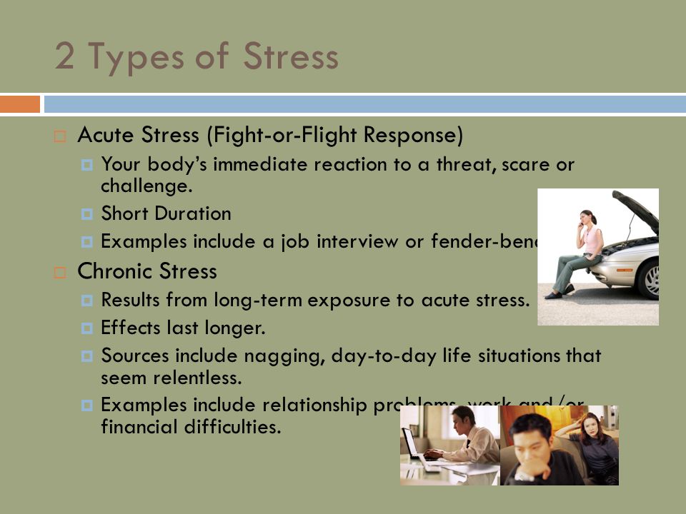 Презентация 7 класс спотлайт stress free