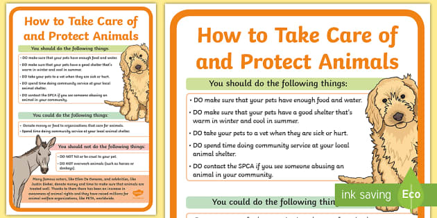 Wild animals as pets essay. How to take Care of animals. Take Care of Pet. How we can protect animals. How to protect animals for Kids.