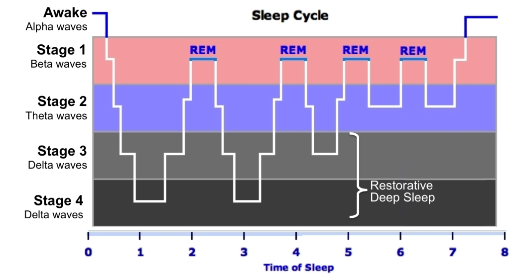 How many hours of rem sleep are you supposed to get