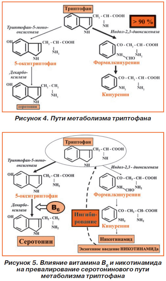 Обмен триптофана. Кинурениновый путь обмена триптофана схема. Синтез триптофана биохимия. Схема путей использования триптофана. Кинеуриновый путь триптофана.