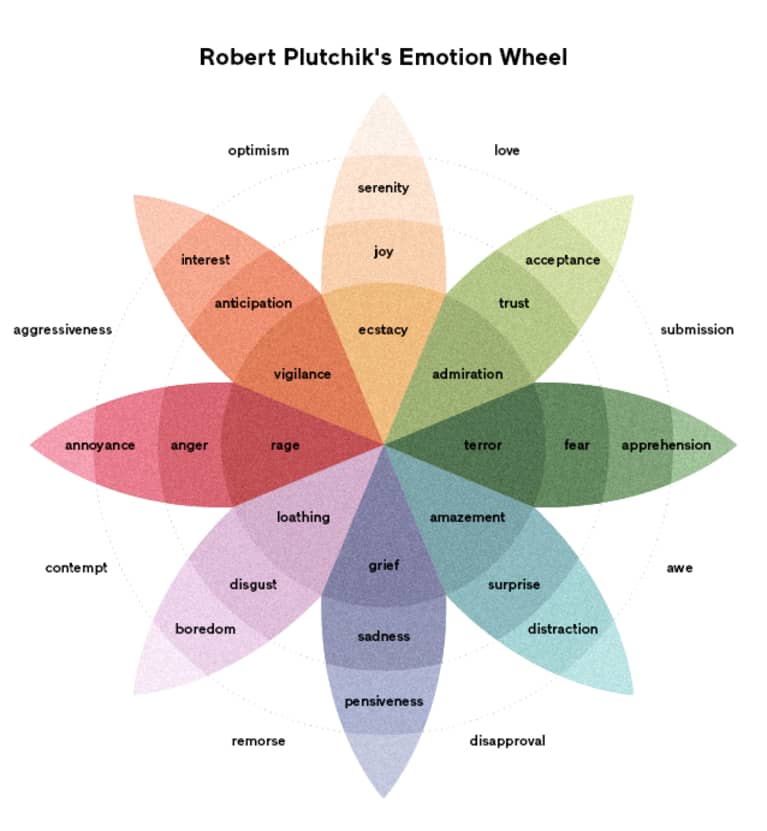 Understanding emotions using the Wheel of emotions - LeadershipYoda