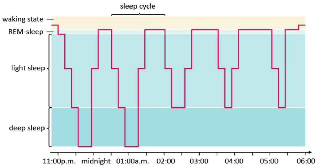 How many rem cycles do you need