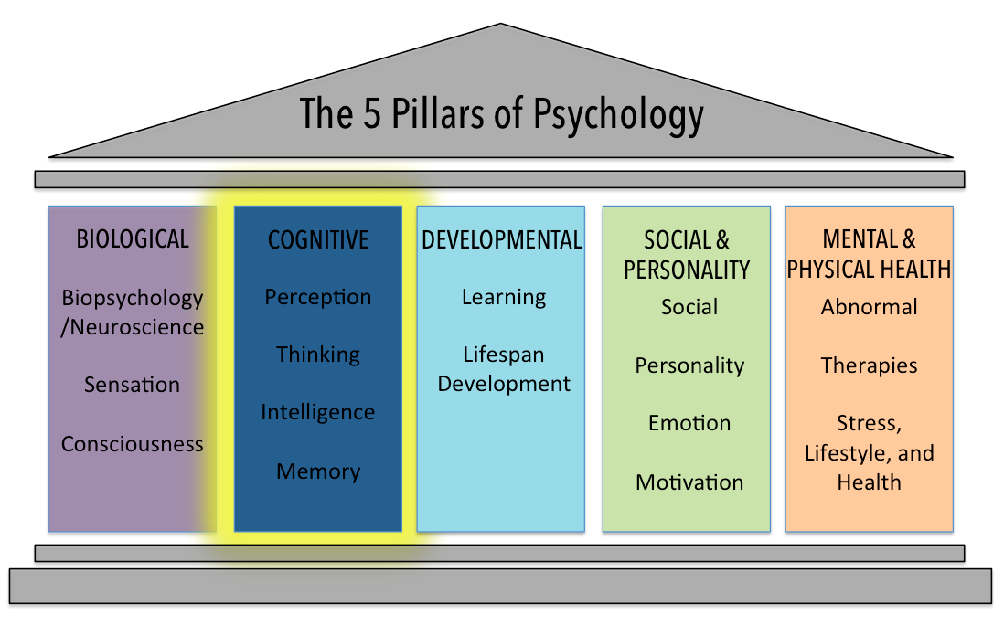 Difference between life coaching and therapy