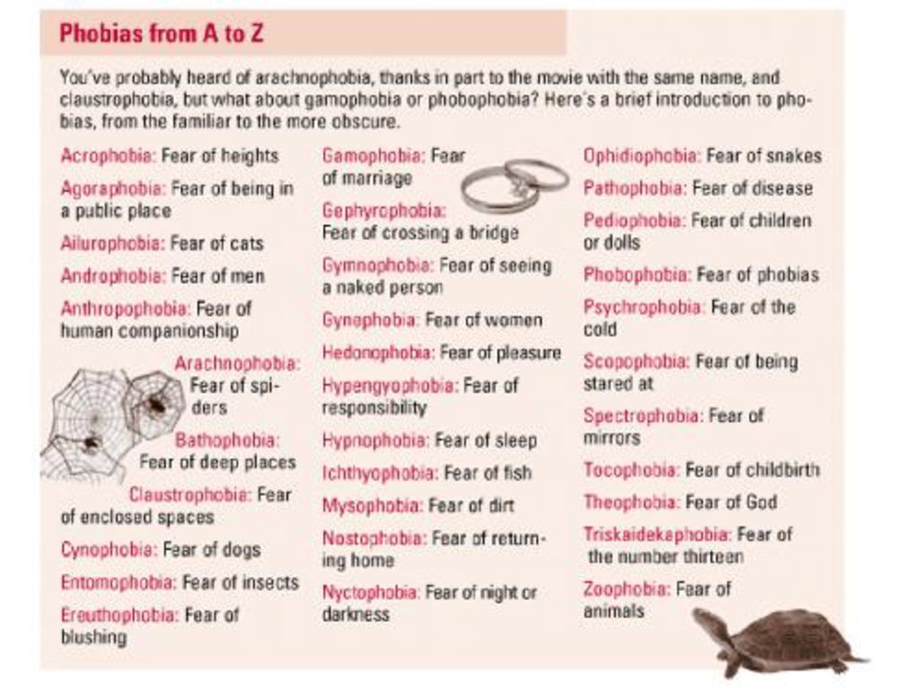 Probably heard. Types of фобии. Fears and Phobias. Fear and fobias. Common Phobias.