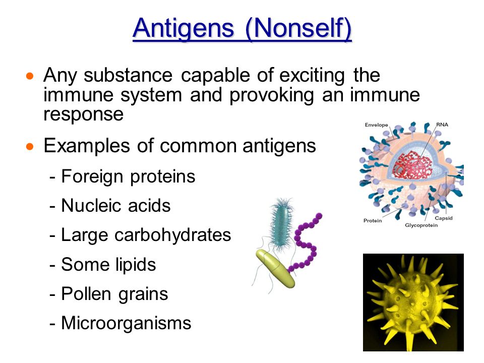 Examples of denial defense mechanism