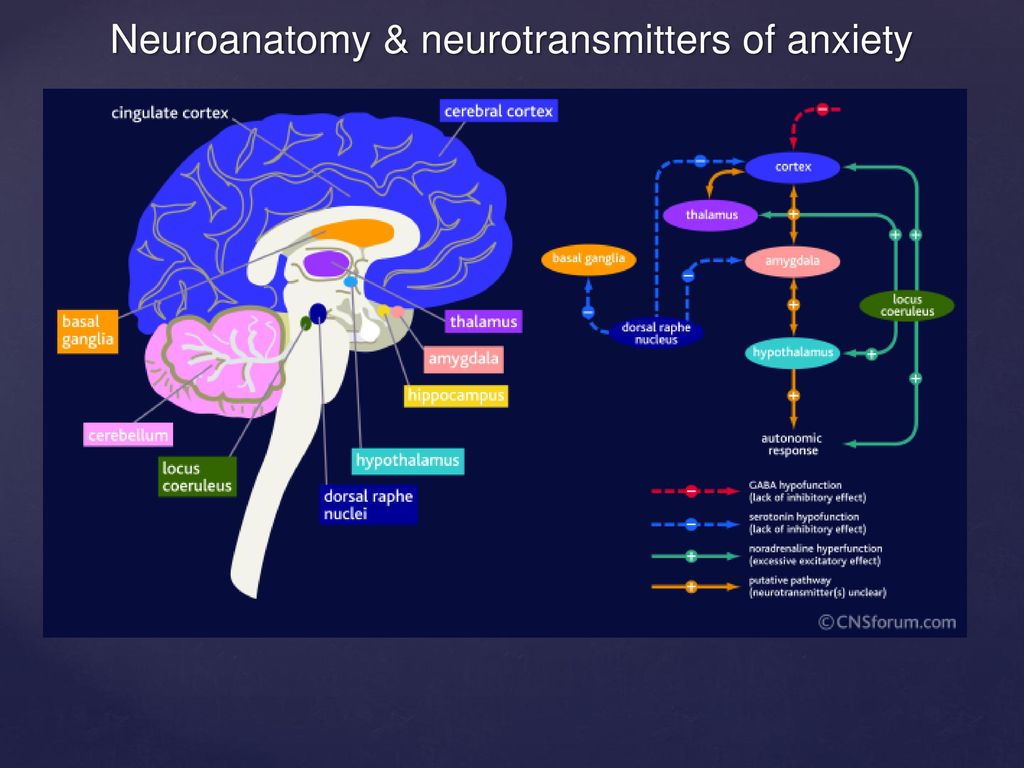 Effects of excess dopamine