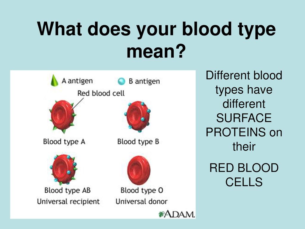 What determines the blood type of a person