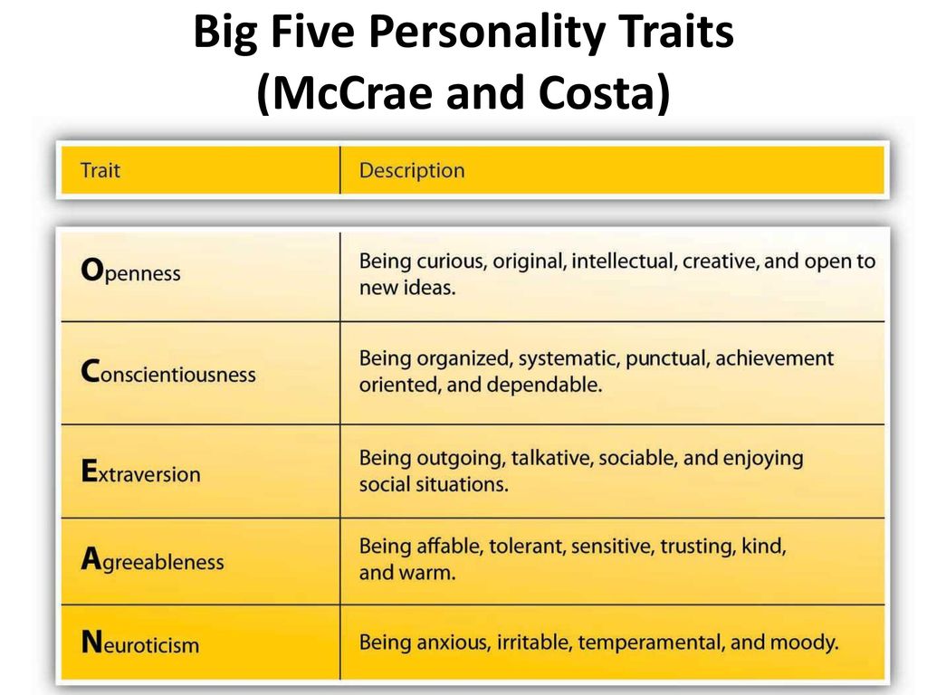 What are the big five personality factors