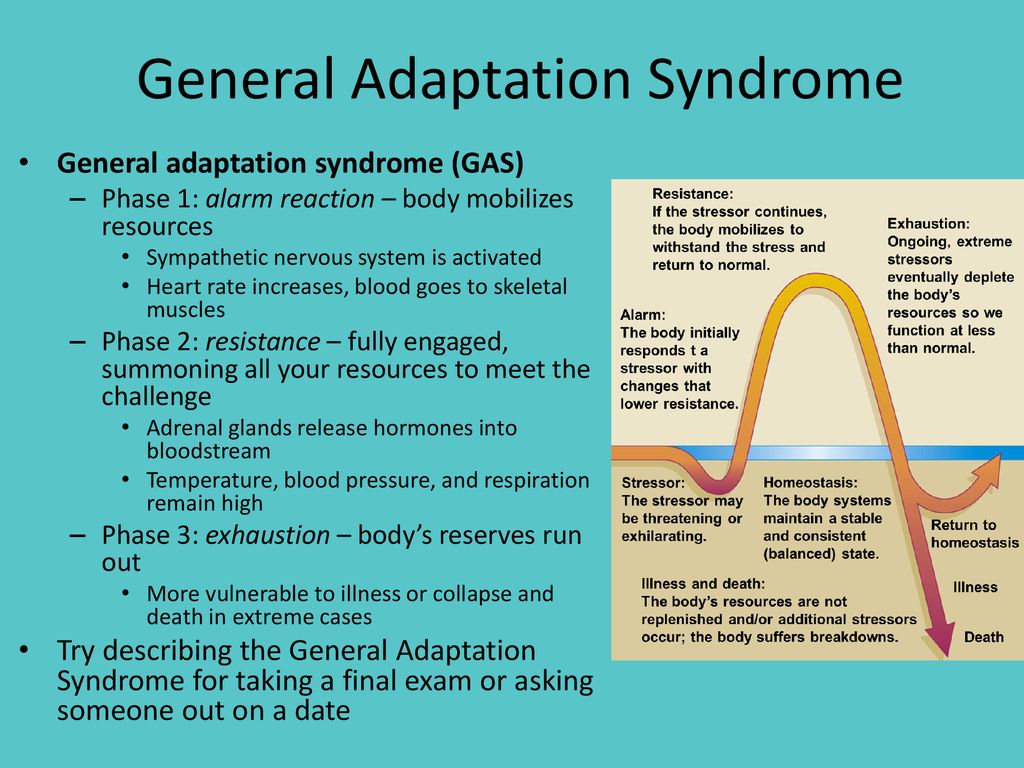 General Adaptation Syndrome (GAS): Stages and Triggers