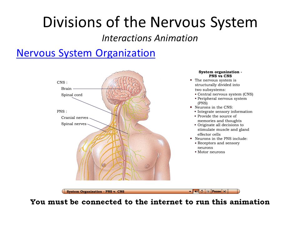 Depression of the central nervous system