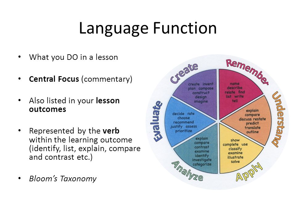 The function of reading