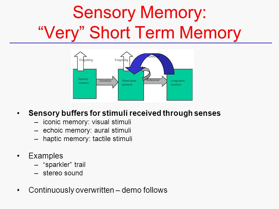 Improving long term memory
