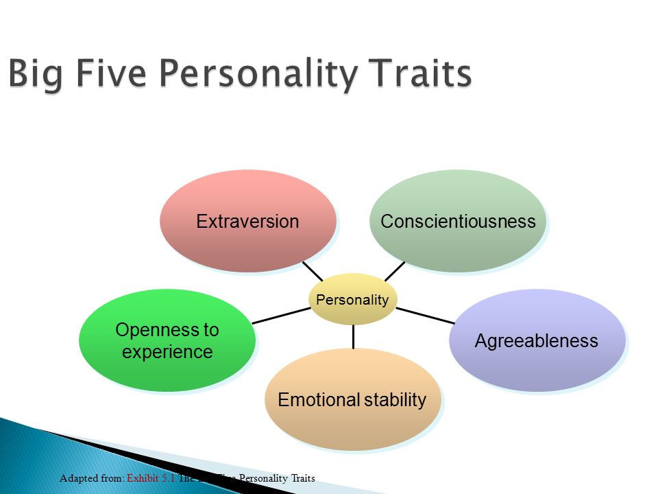 What are the big five personality factors