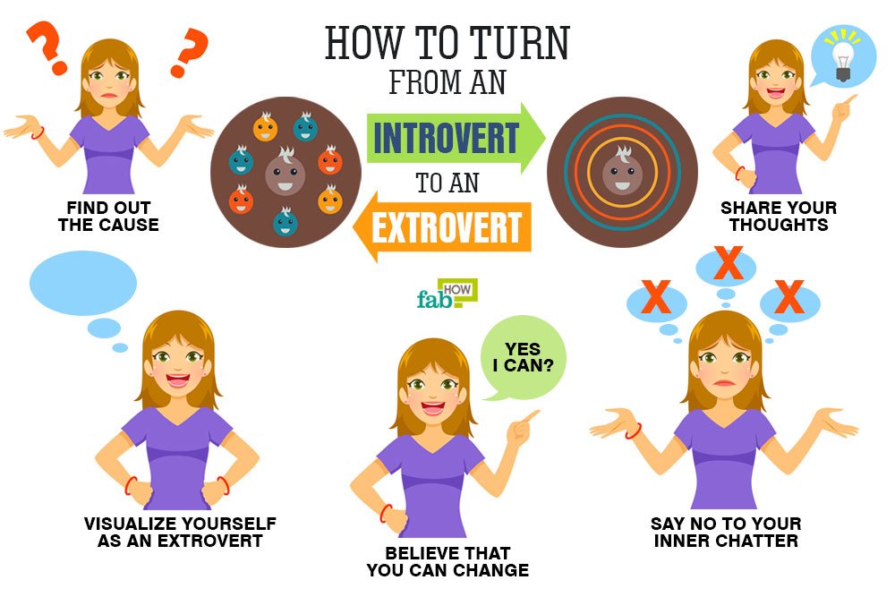 How can introverts recharge